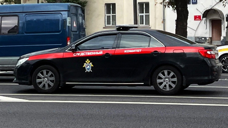 "Искал девушек на сайтах". Что известно о "богородском маньяке" из Королева