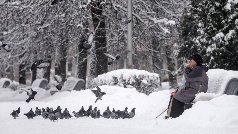 Прокуратура проверит данные о гибели птиц в защитных сетках в московском ТЦ