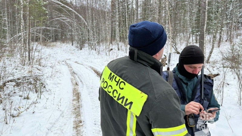 В Красноярском крае поймали сигнал телефона главы пропавшей в походе семьи