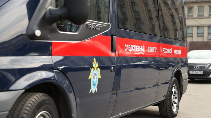 Жительнице Челябинской области, заказавшей убийство дочери, продлили арест