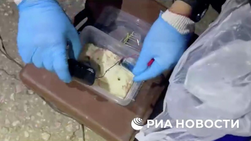 В Петербурге задержали пособницу Украины, помогавшую готовить теракты